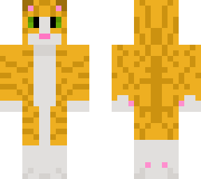orange cat