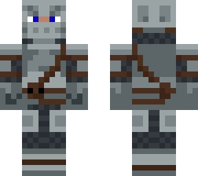 the medieval knight