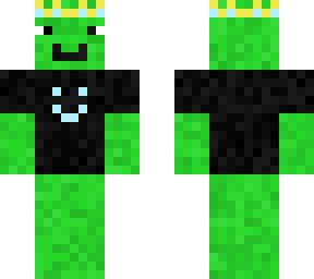 turtle pet