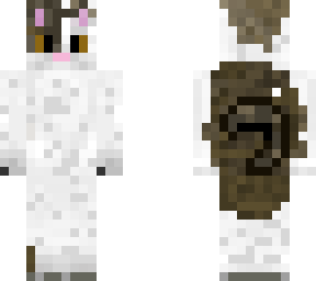 brown white cat