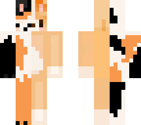dogs & cats