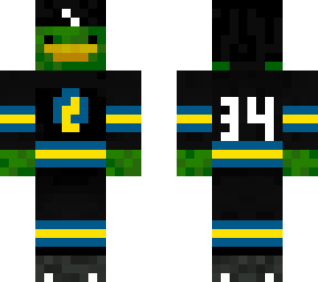hockey duck