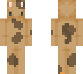 cooki cat
