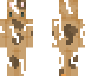 cookie cat with milk