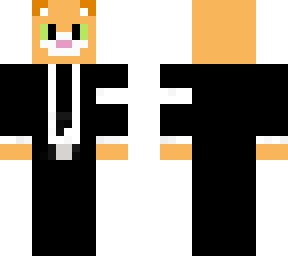 gato con traje