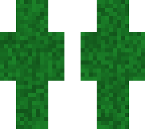 camofloage