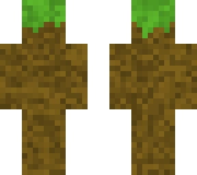 dirt/diarehha skin