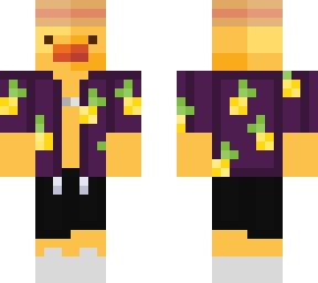 duck in summer