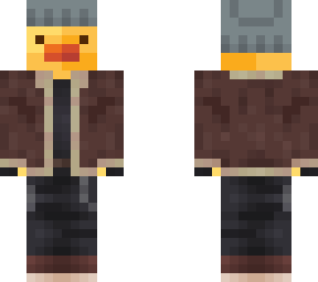 duck in winter