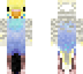 rainbow budgie