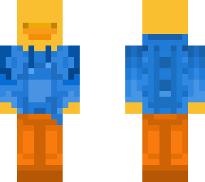 blue sweater duck
