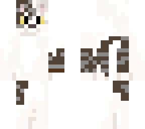 grey and white cat