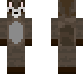 raccoon
