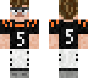 ash10n as a bengal