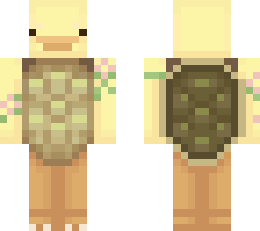 pato tortuga