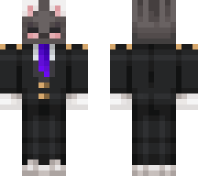 fancy cat with alernate colors