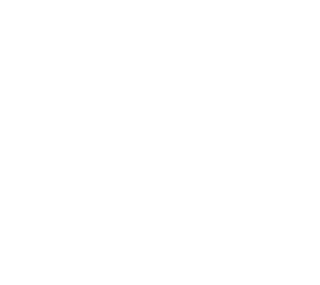 markings 19