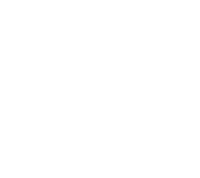 markings 29