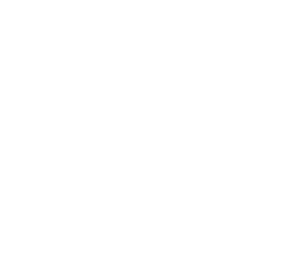 markings 31