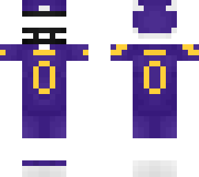 minnesota vikings