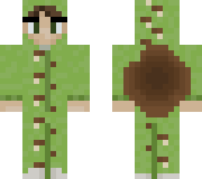 turtle dude