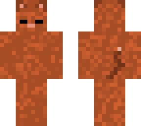 orange cat