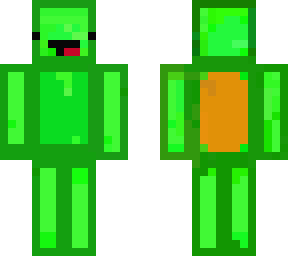 turtle