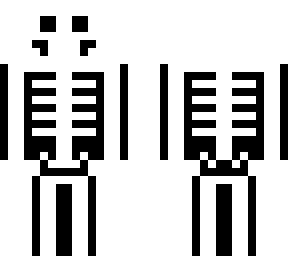 skeleton