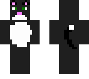 tuxiedo cat