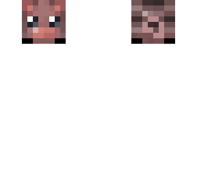 mini armadillo