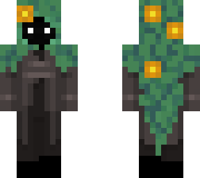 main skin