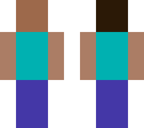 1-bit steve