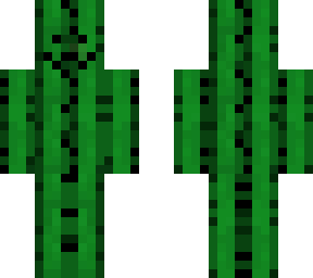 super mega cute cactus!
