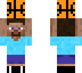 basketball steav