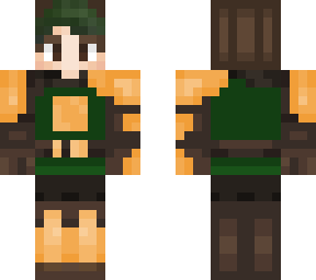 medieval knight skin