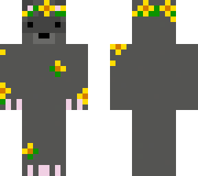 sunflower raccoon