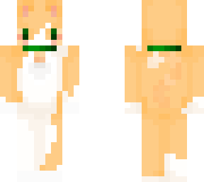 cat white