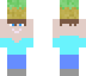 steve with grass block