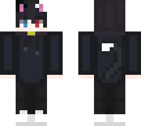 a cat
