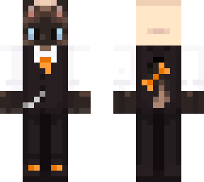 dapper orange siamese cat