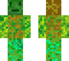kiwi tree skin