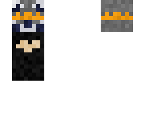 racoon inacabado