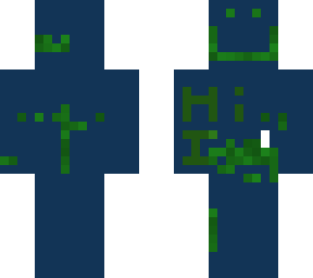 a skin