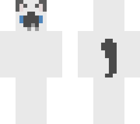 siamese cat