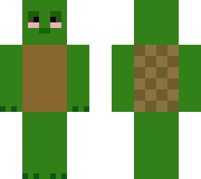 cute turtle