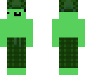 dumb turtle