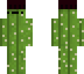 cactus man with hat