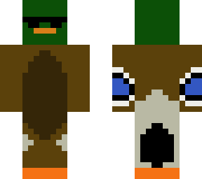 mallard duck