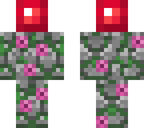adventure chest ruby (mc earth)