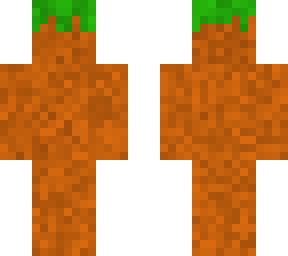 bloc de terre
